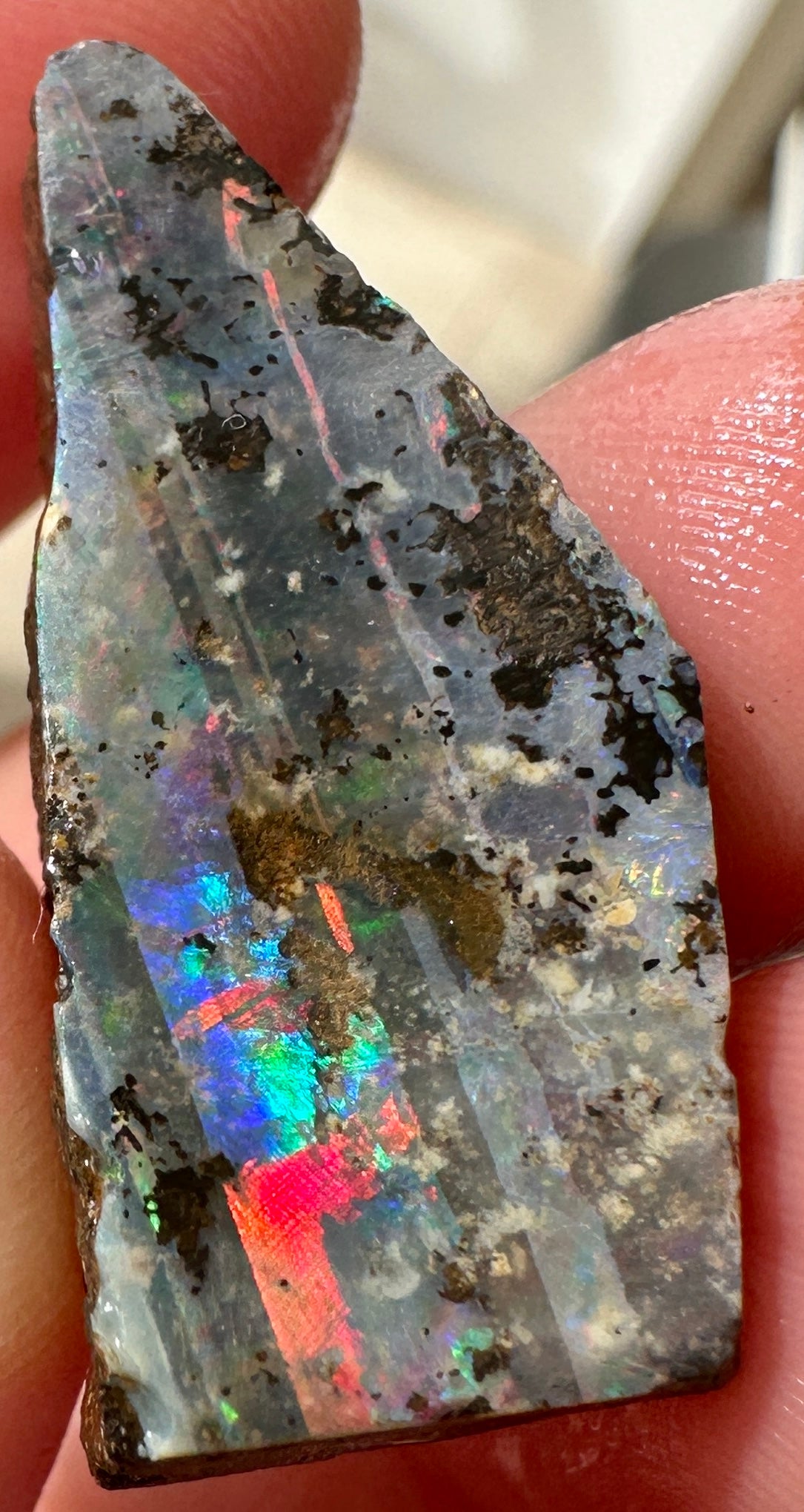 Australian Queensland Boulder opal rough large ring or pendant 25.5 cts