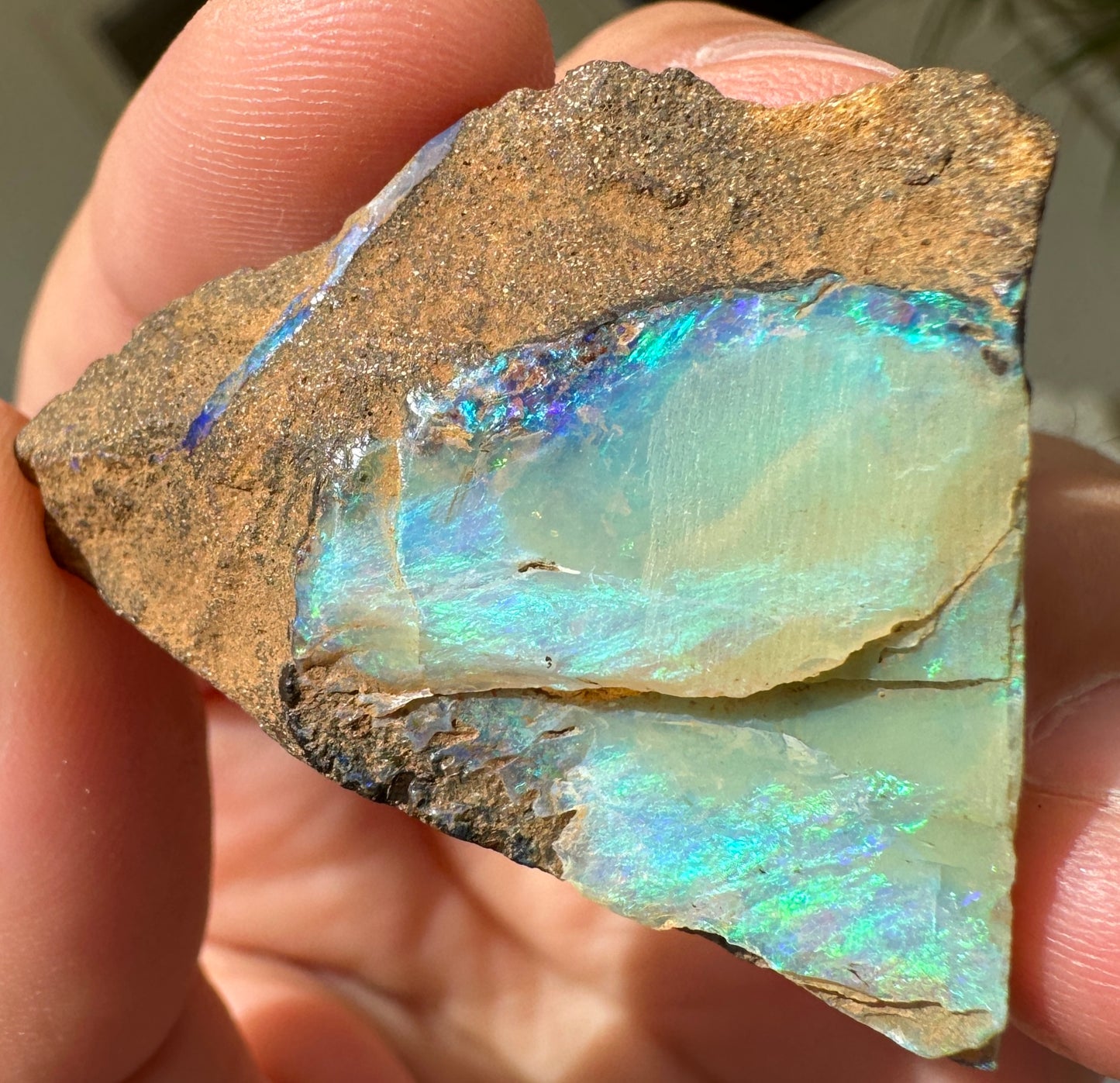 Australian Queensland Boulder Opal 50.585 cts
