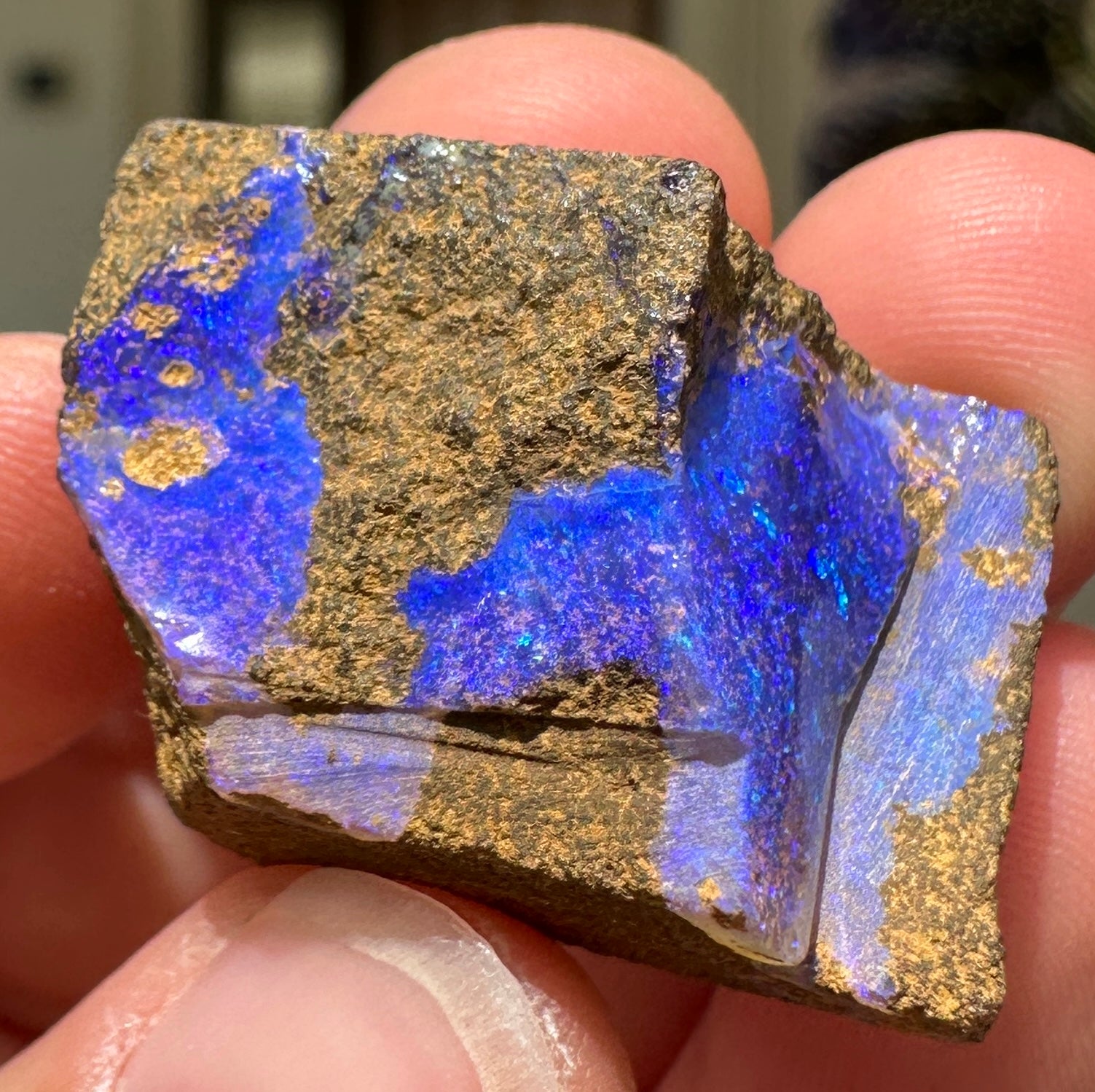 Australian Queensland Boulder opal rough large ring or pendant 60.975 cts