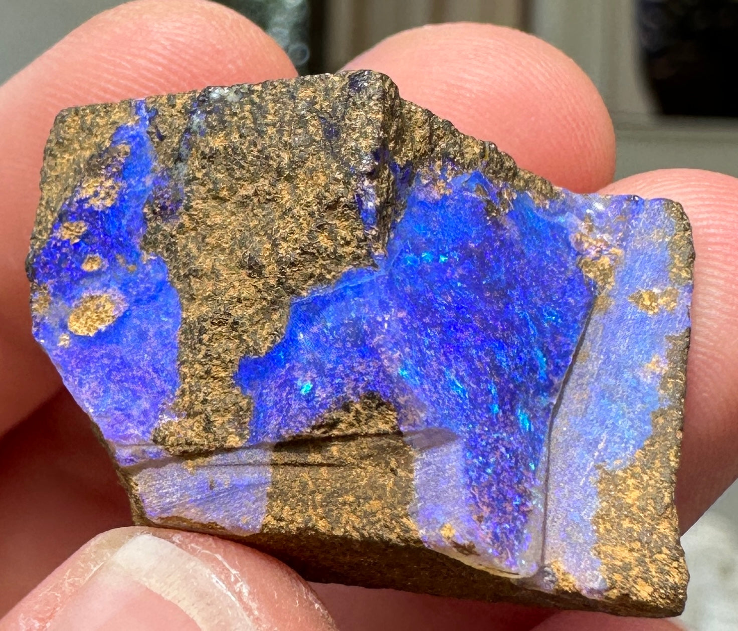 Australian Queensland Boulder opal rough large ring or pendant 60.975 cts