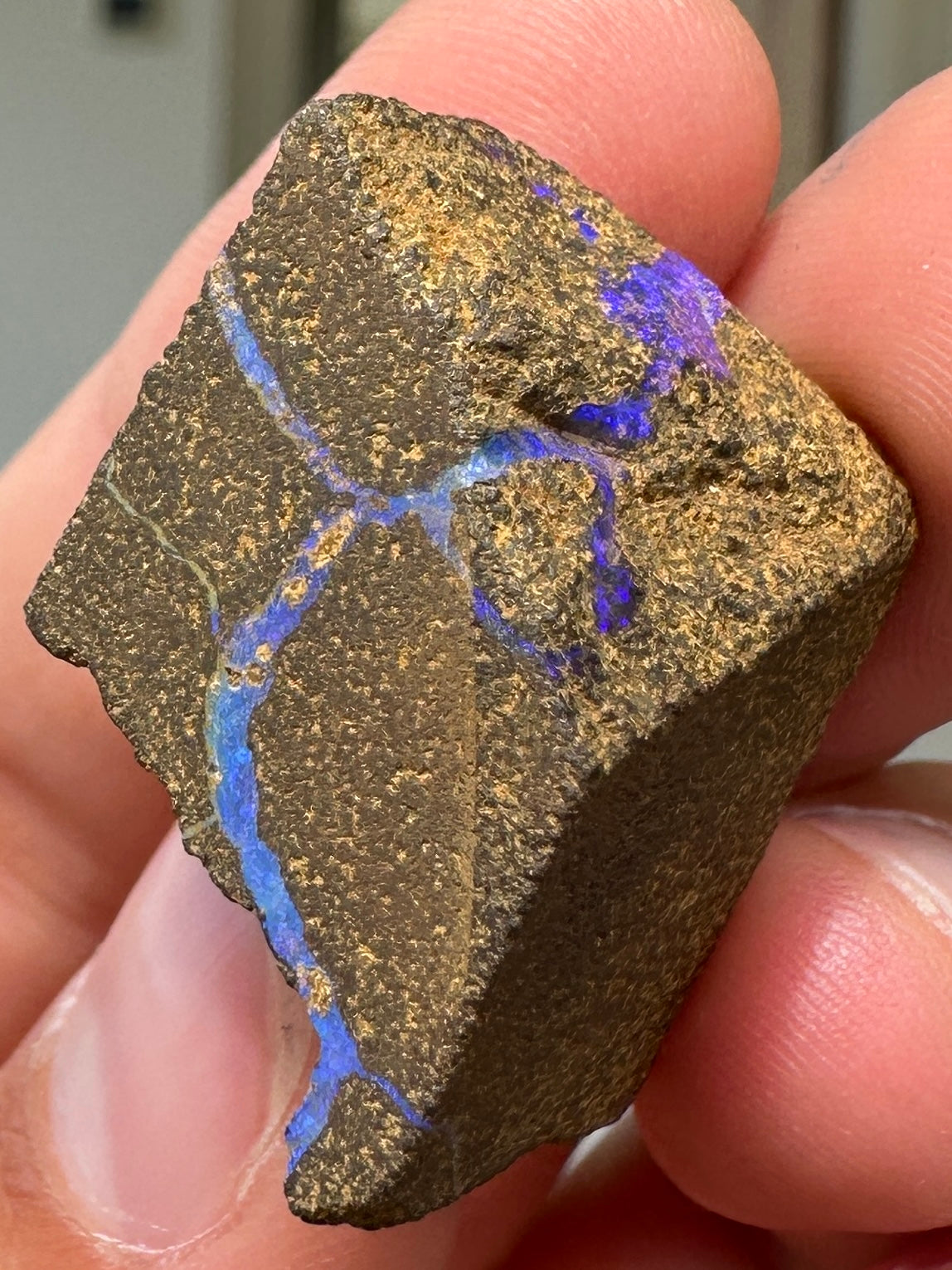 Australian Queensland Boulder opal rough large ring or pendant 60.975 cts