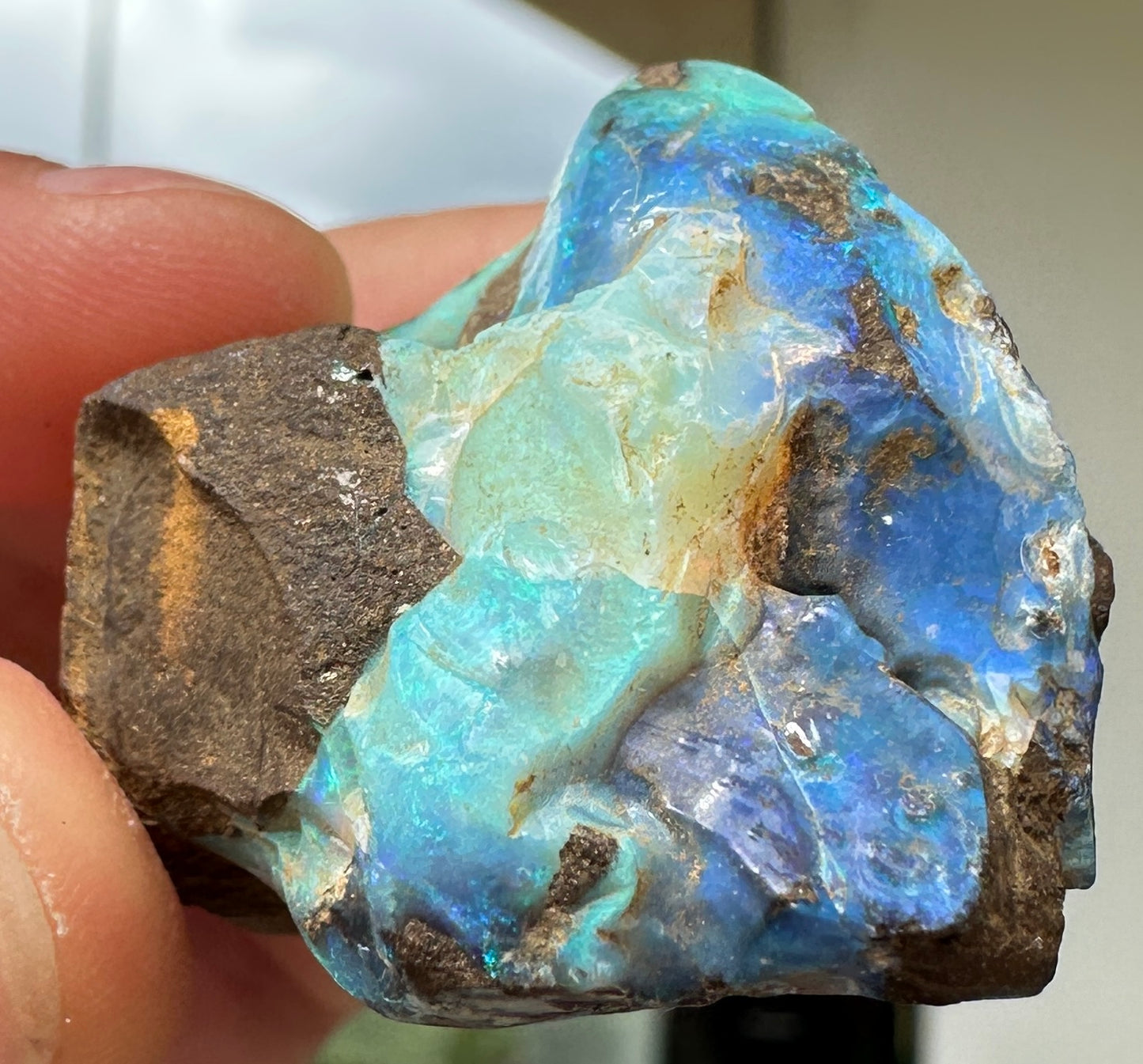 Australian Queensland Boulder opal rough large ring or pendant 162.02 cts