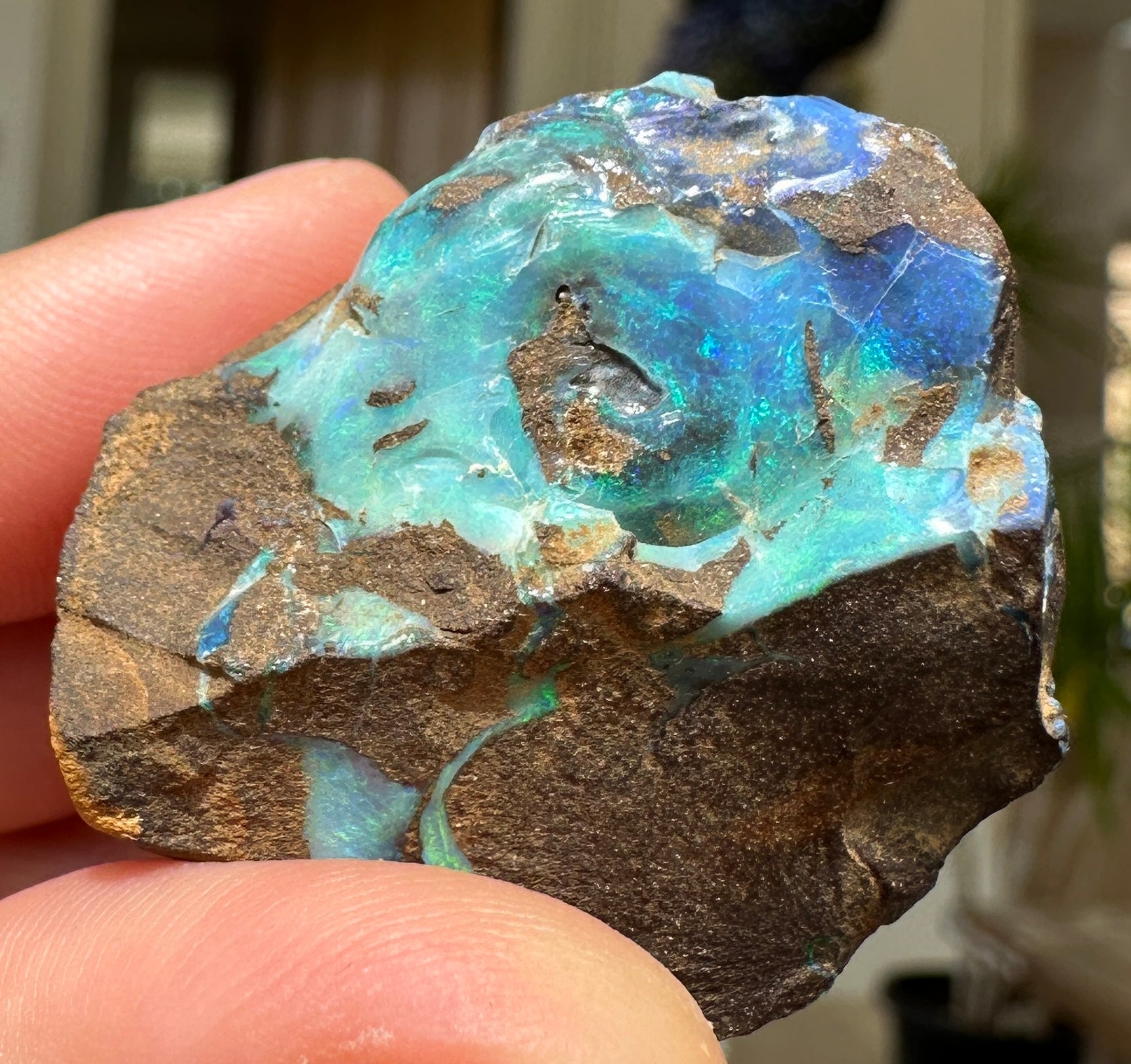 Australian Queensland Boulder opal rough large ring or pendant 162.02 cts