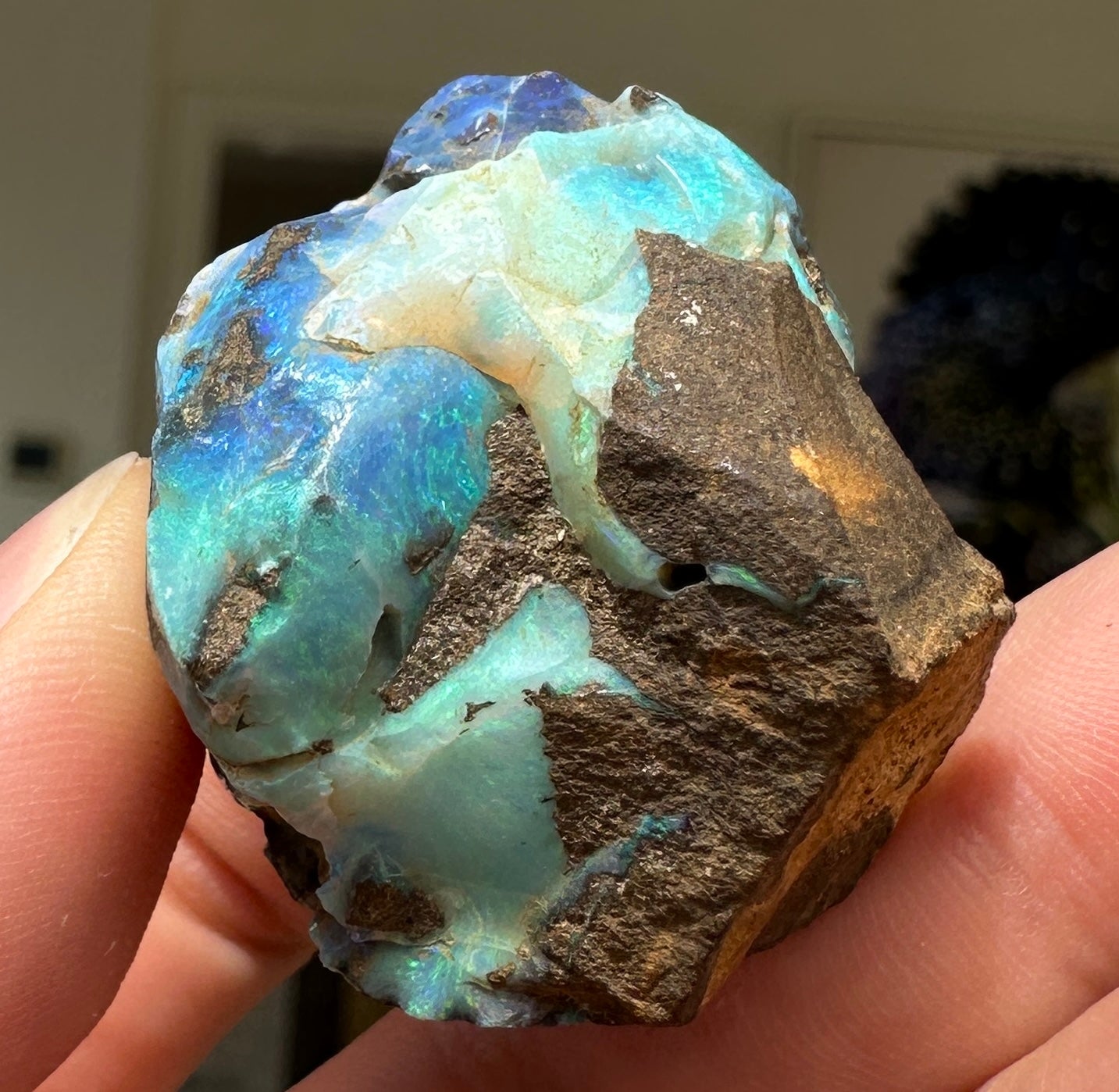 Australian Queensland Boulder opal rough large ring or pendant 162.02 cts