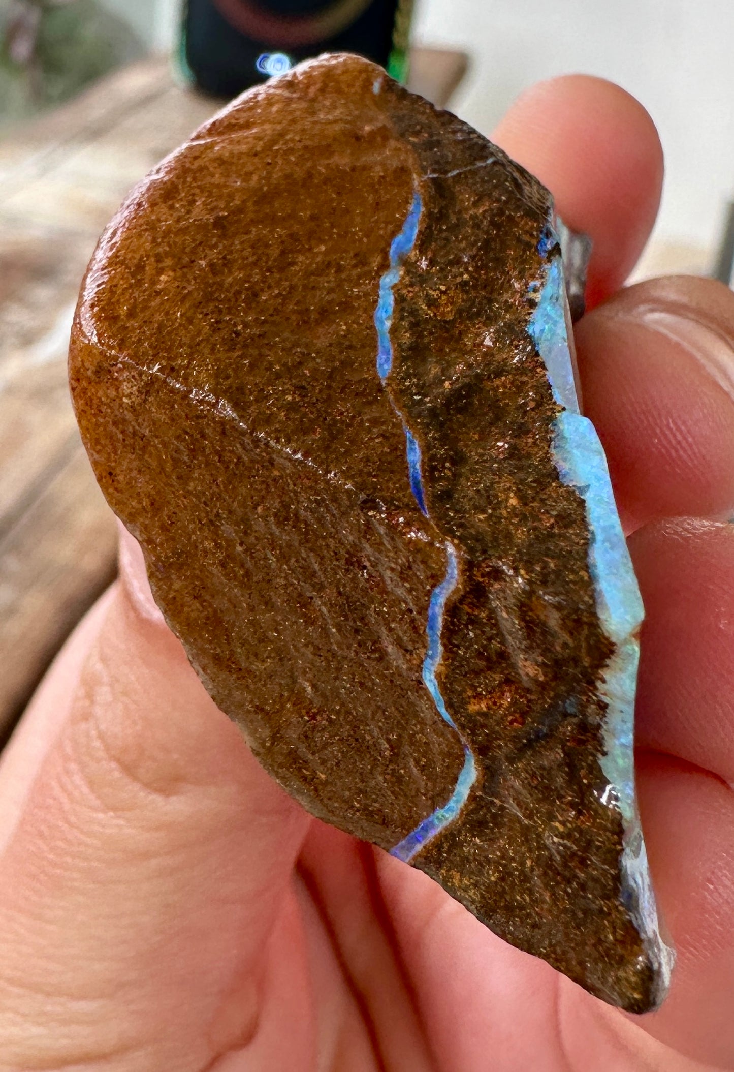 Australian Queensland Boulder opal rough large ring or pendant 224.815cts