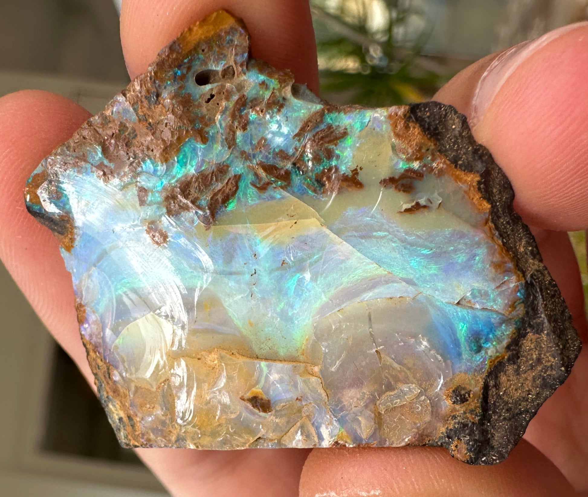 Australian Queensland Boulder opal rough large ring or pendant 55.965 cts