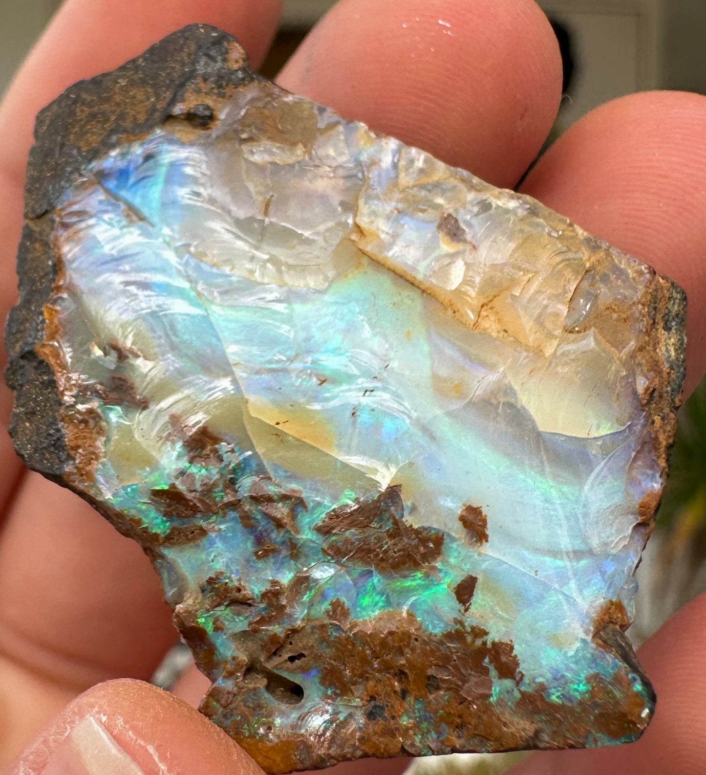 Australian Queensland Boulder opal rough large ring or pendant 55.965 cts