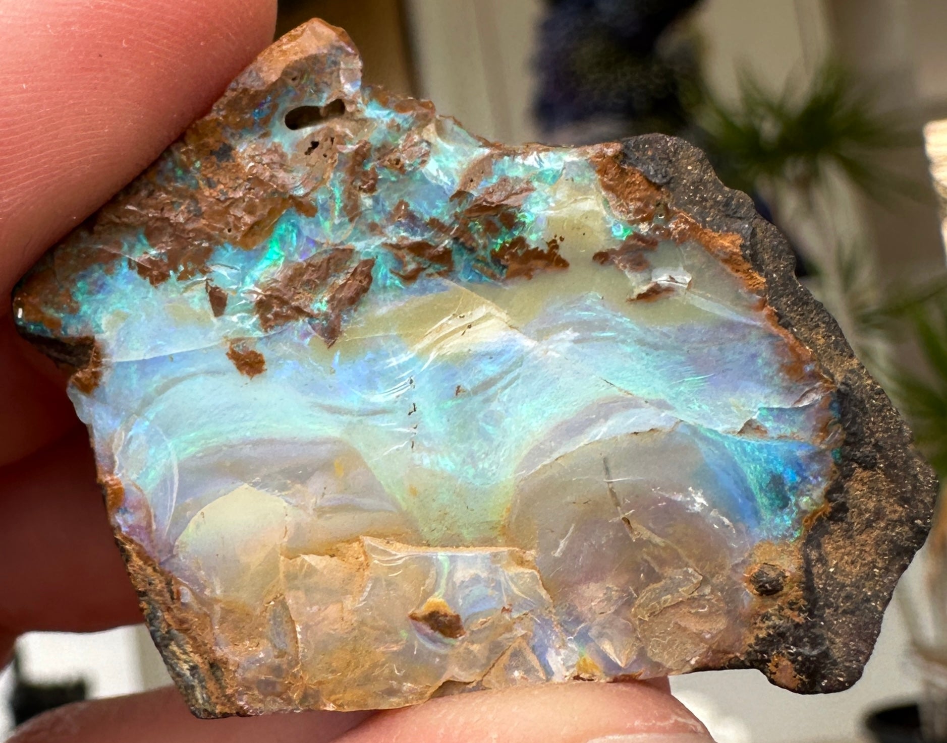 Australian Queensland Boulder opal rough large ring or pendant 55.965 cts