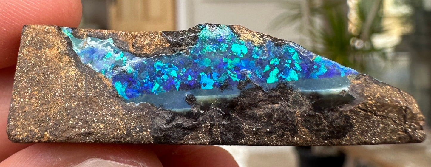 Australian Queensland Boulder opal rough large ring or pendant 72.695 cts