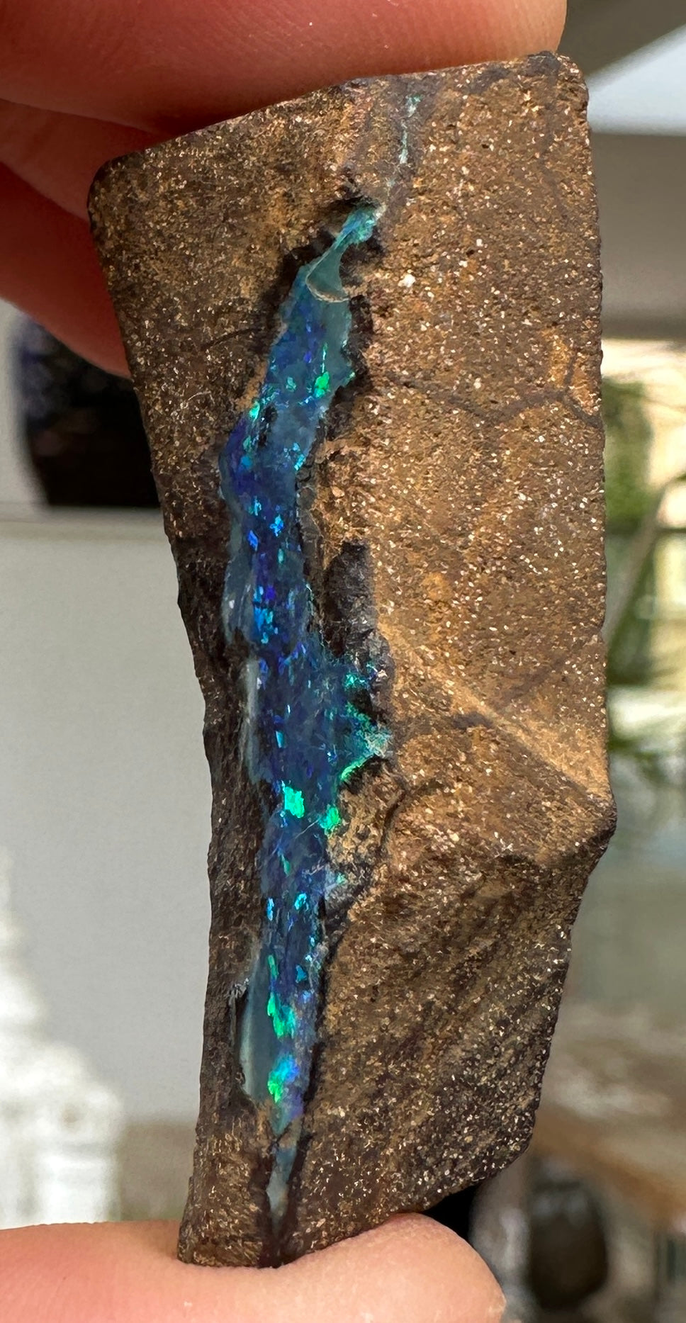 Australian Queensland Boulder opal rough large ring or pendant 72.695 cts