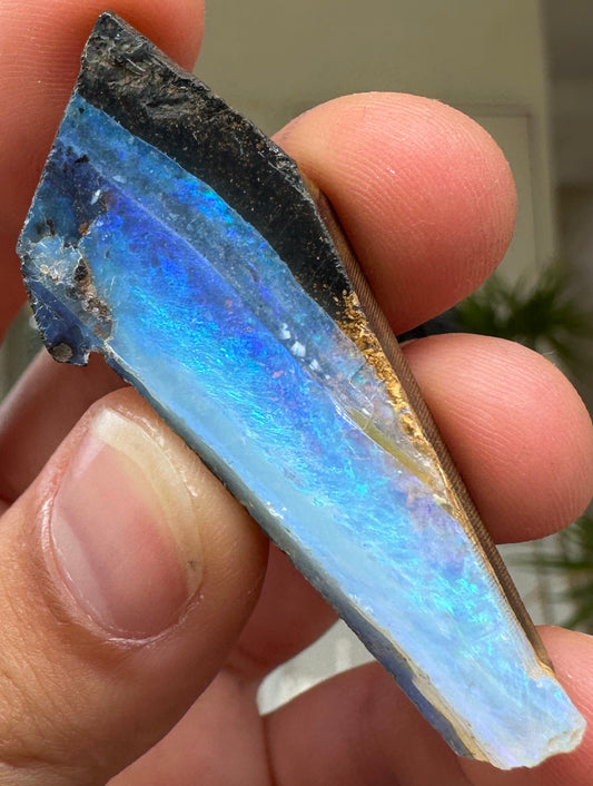 Australian Queensland Boulder opal rough large ring or pendant 48.01 cts