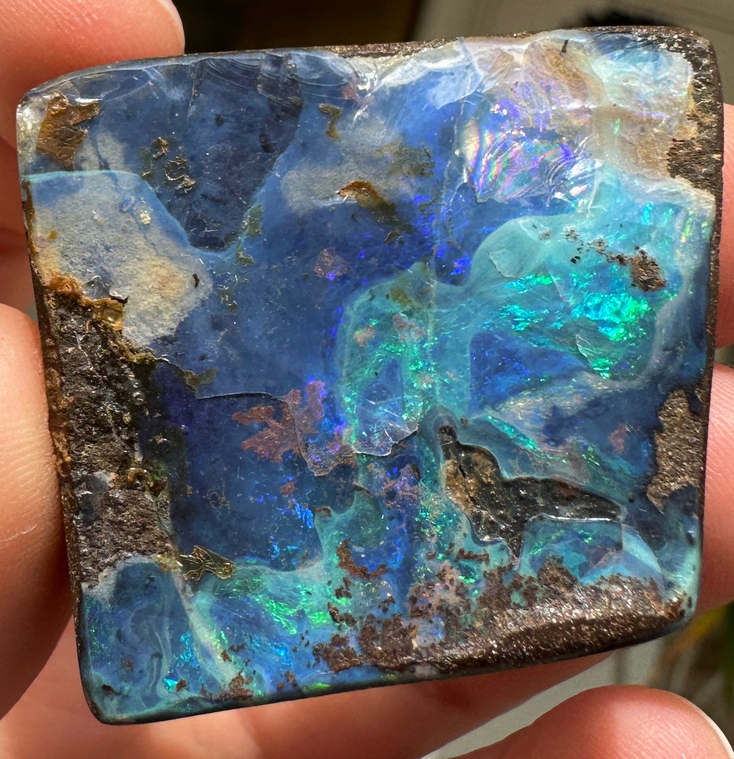 Australian Queensland Boulder opal rough large ring or pendant 137.68 cts