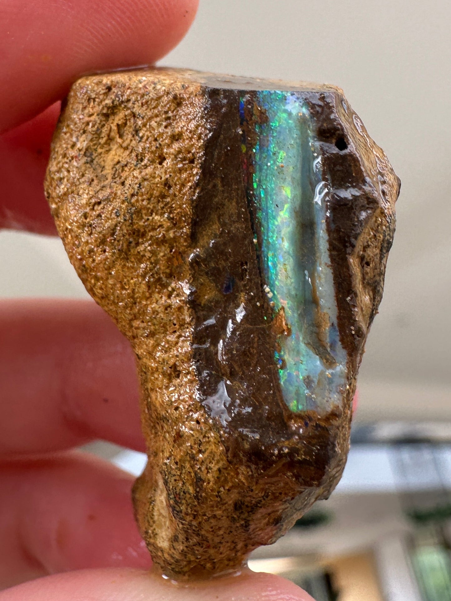 Australian Queensland Boulder opal rough large ring or pendant 92.14cts