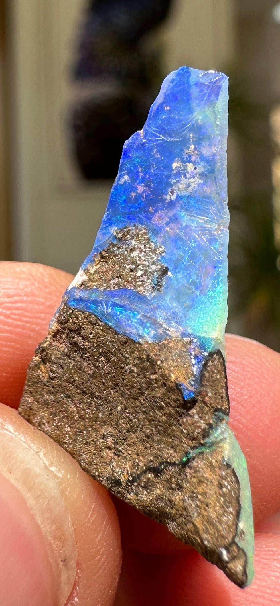 Australian Queensland Boulder opal rough large ring or pendant 10.065 cts