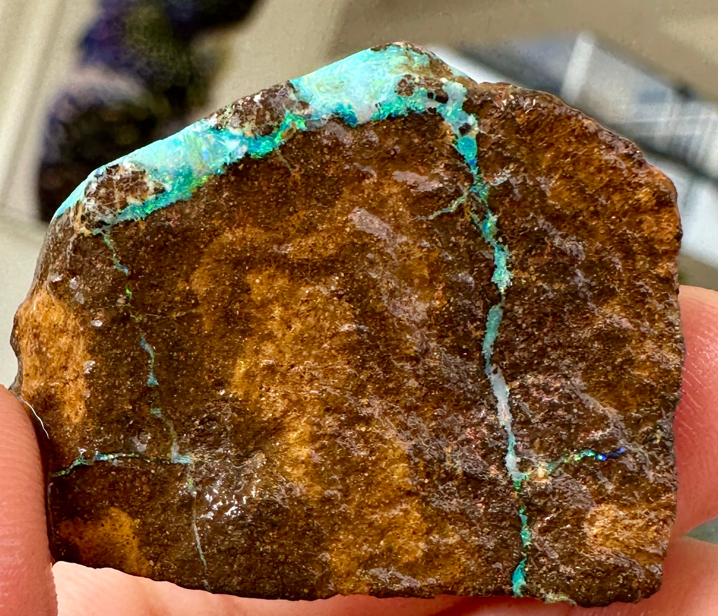 Australian Queensland Boulder opal rough large ring or pendant 61.48 cts