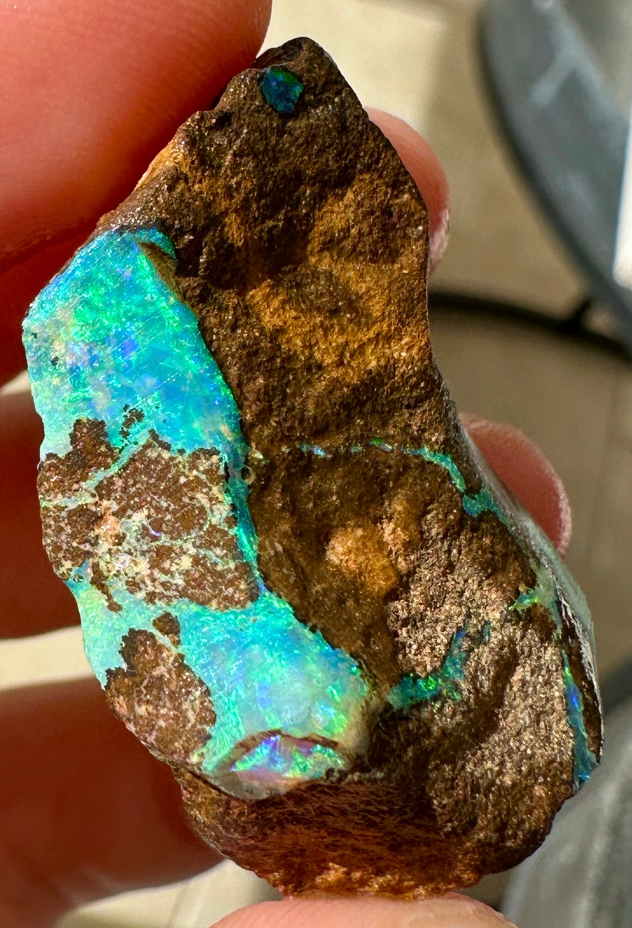 Australian Queensland Boulder opal rough large ring or pendant 61.48 cts