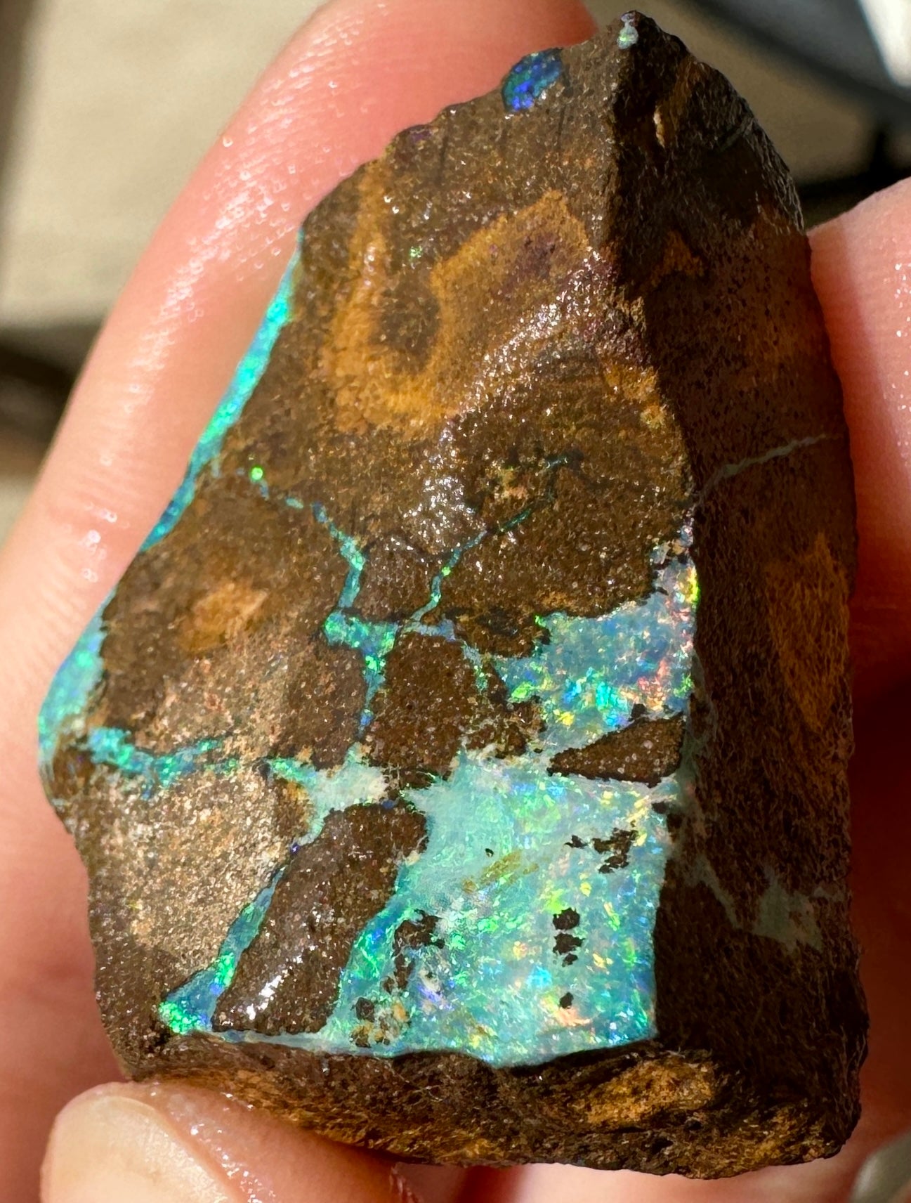 Australian Queensland Boulder opal rough large ring or pendant 61.48 cts