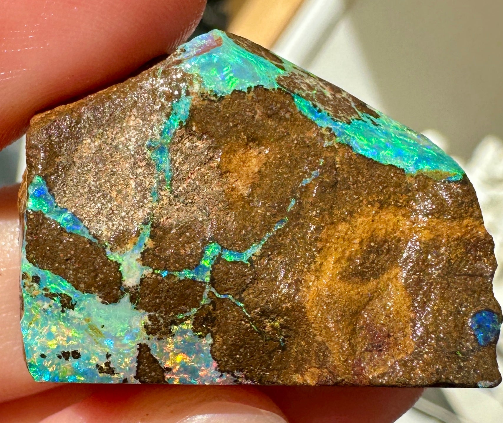 Australian Queensland Boulder opal rough large ring or pendant 61.48 cts