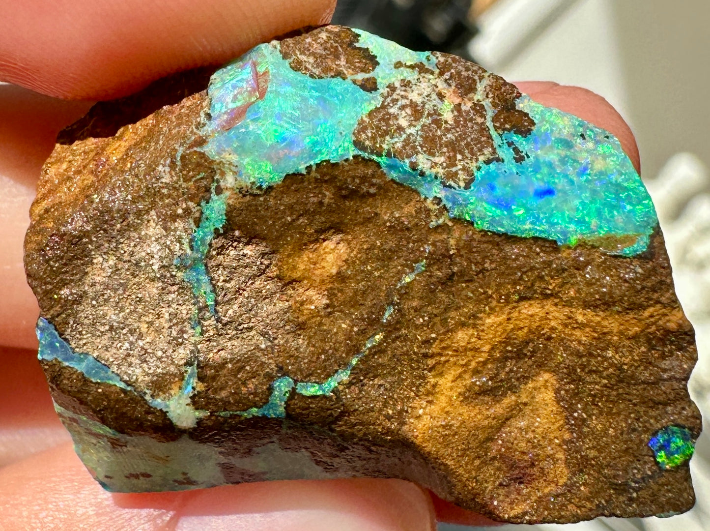 Australian Queensland Boulder opal rough large ring or pendant 61.48 cts