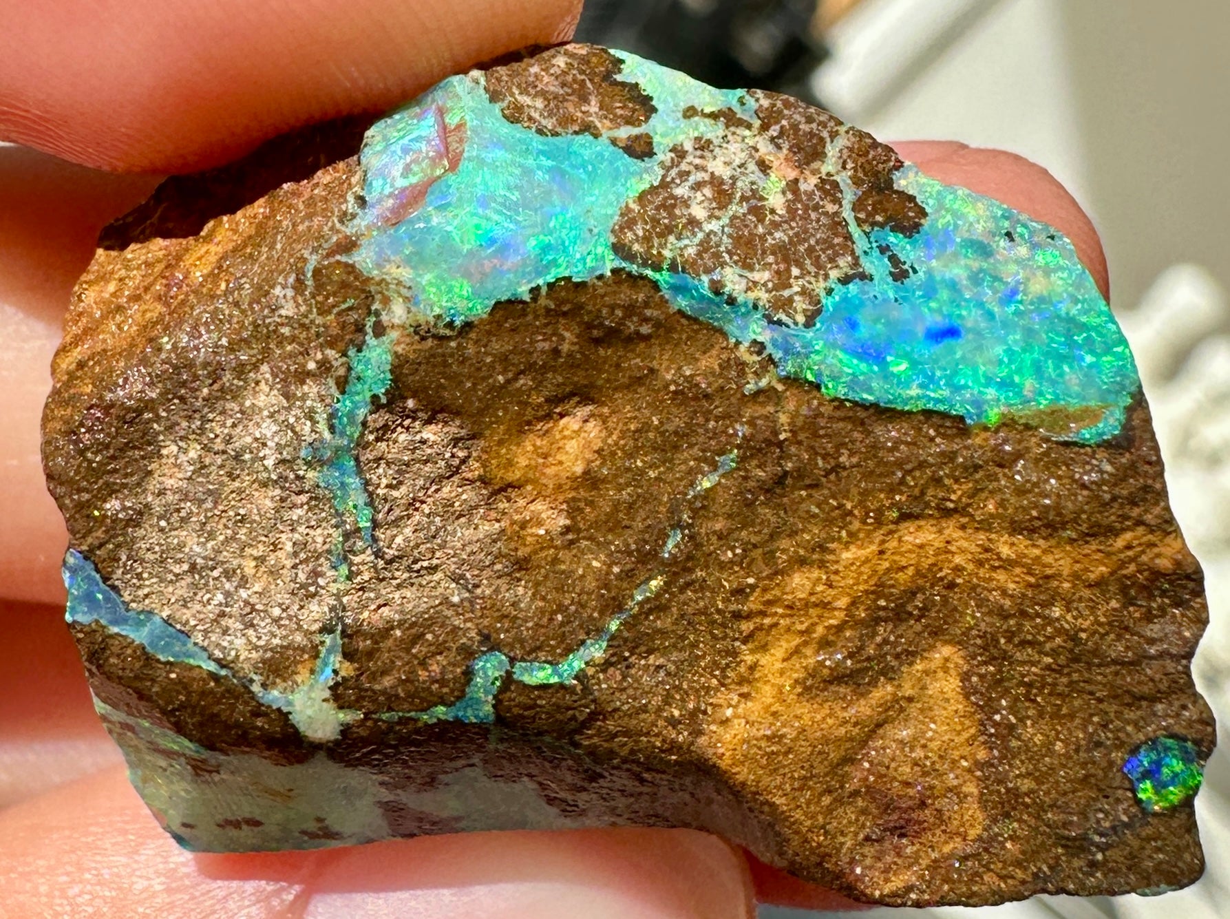 Australian Queensland Boulder opal rough large ring or pendant 61.48 cts