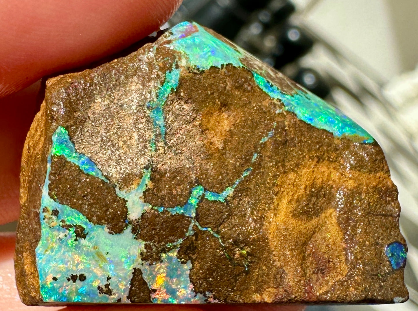 Australian Queensland Boulder opal rough large ring or pendant 61.48 cts