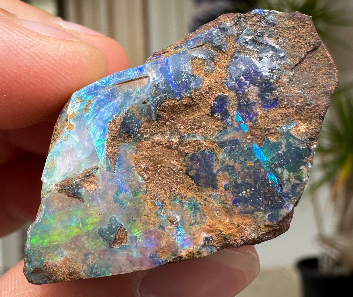 Australian Queensland Boulder opal rough large ring or pendant 166.57 cts