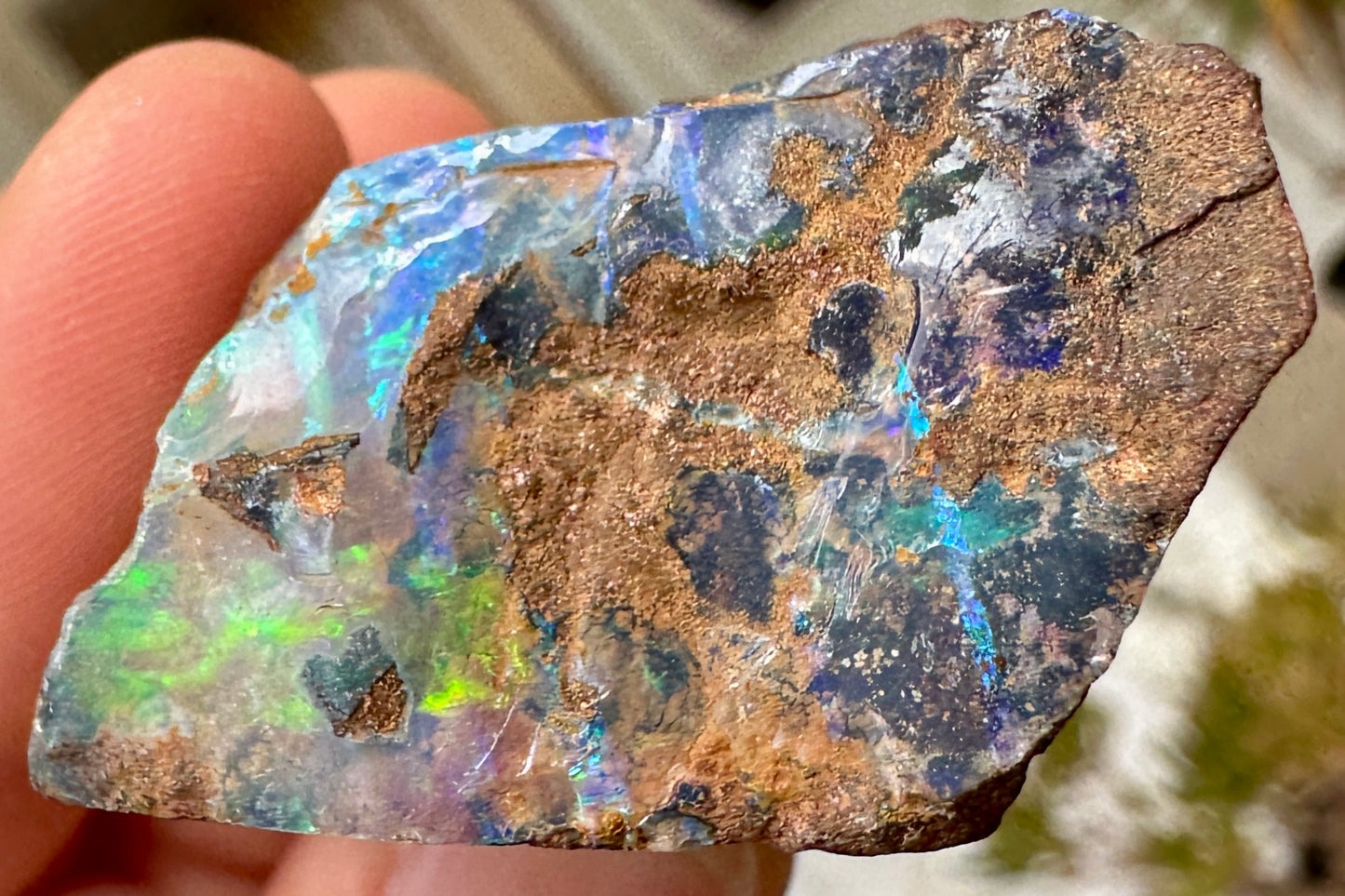 Australian Queensland Boulder opal rough large ring or pendant 166.57 cts