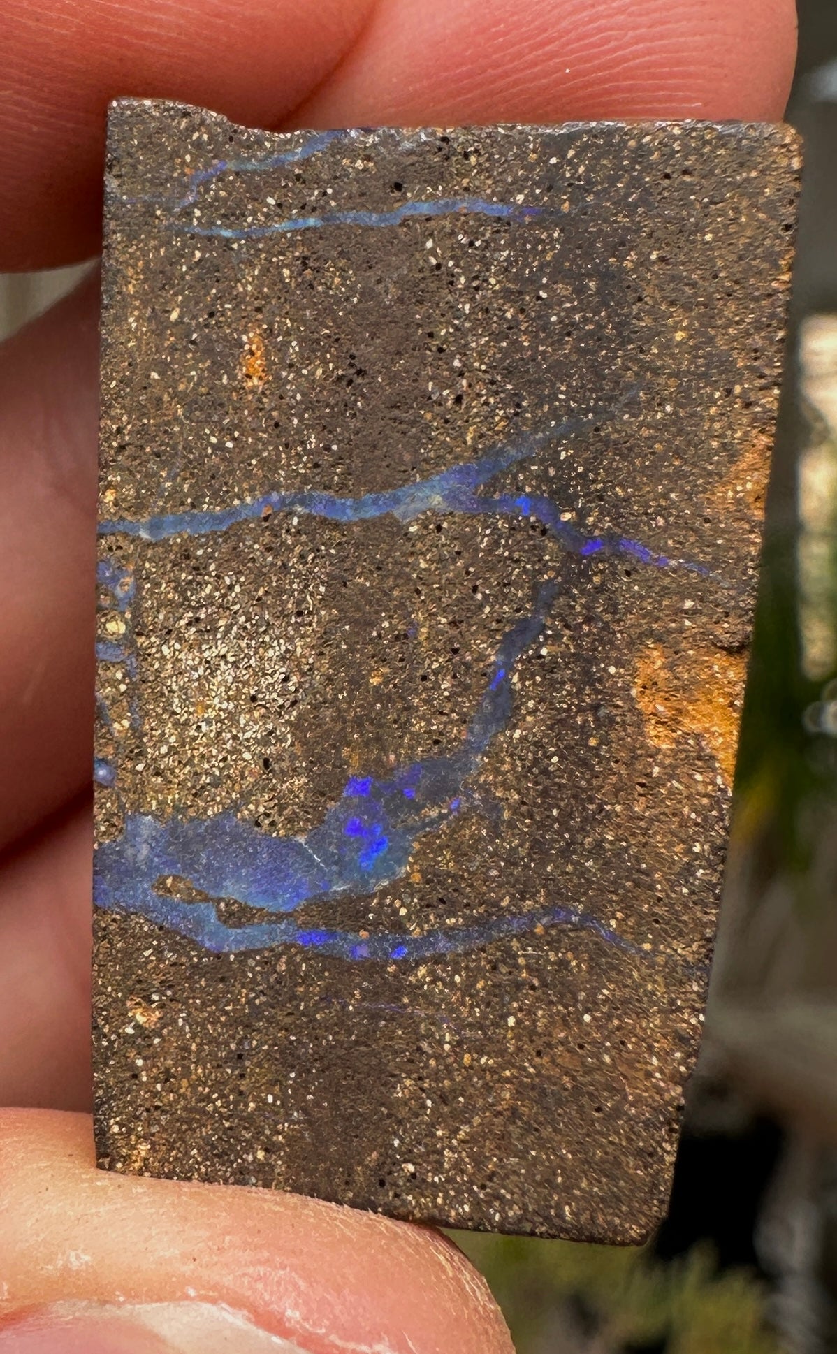 Australian Queensland Boulder opal rough large ring or pendant 41.565 cts