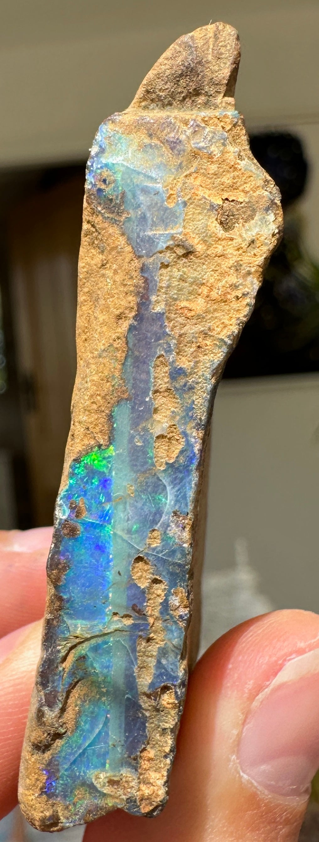 Australian Queensland Boulder opal rough large ring or pendant 174.165 cts