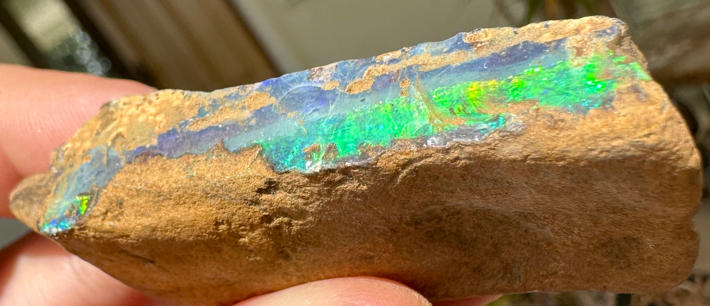 Australian Queensland Boulder opal rough large ring or pendant 174.165 cts