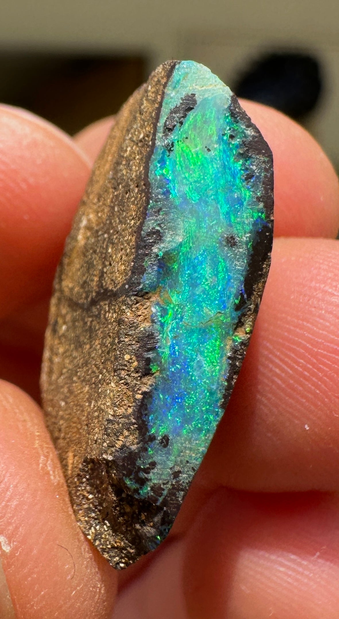 Australian Queensland Boulder opal rough large ring or pendant 15.95 cts