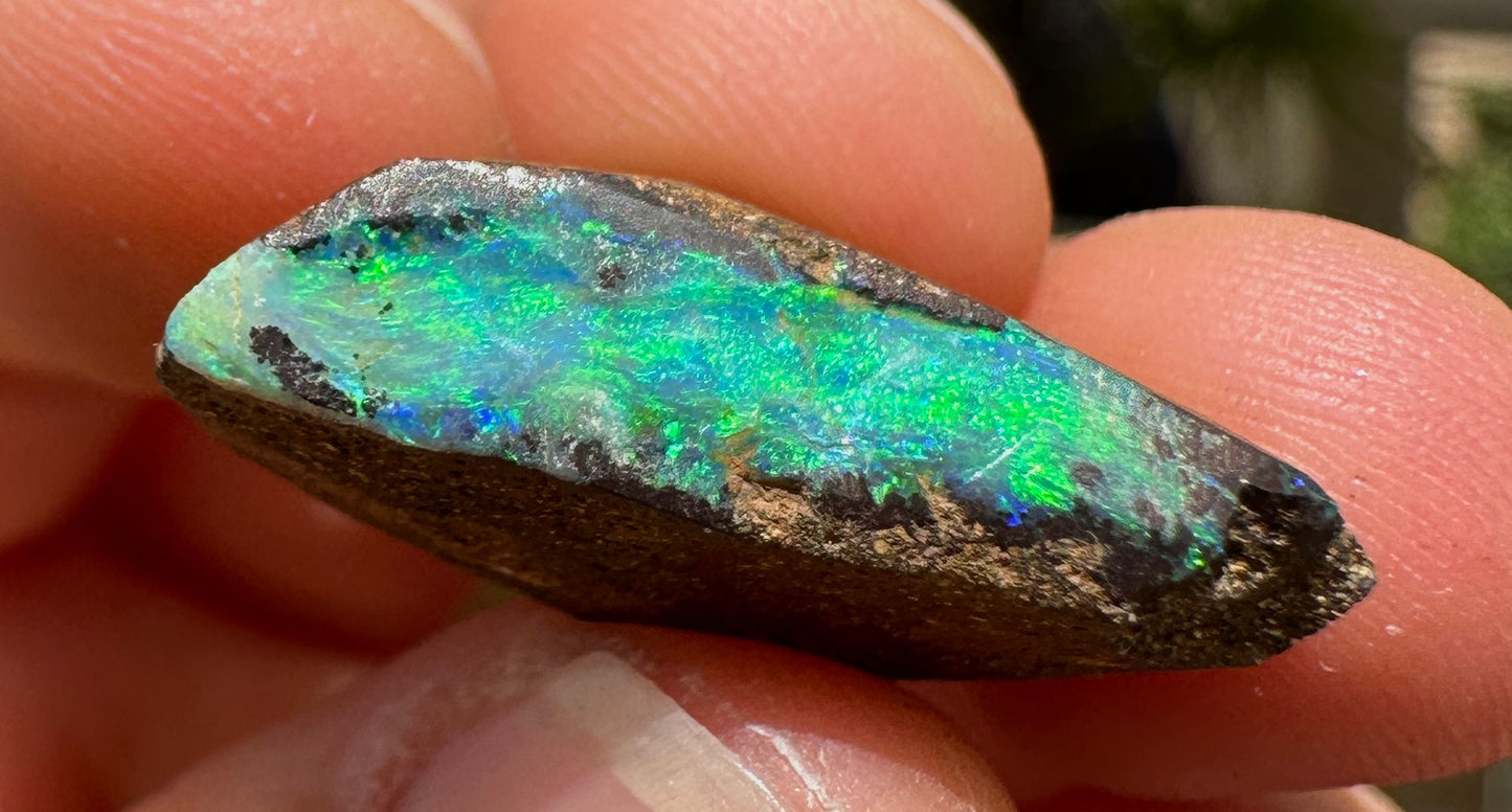 Australian Queensland Boulder opal rough large ring or pendant 15.95 cts