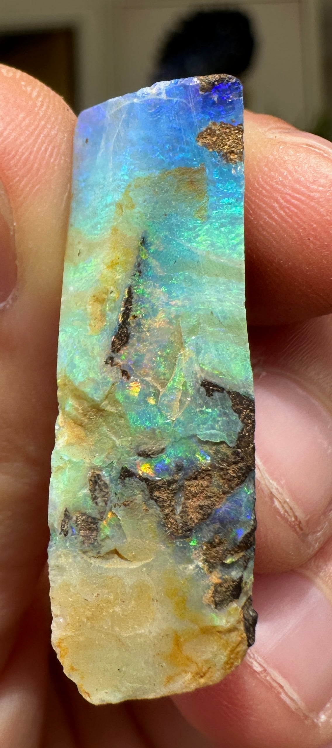 Australian Queensland Boulder opal rough large ring or pendant 33.385 cts