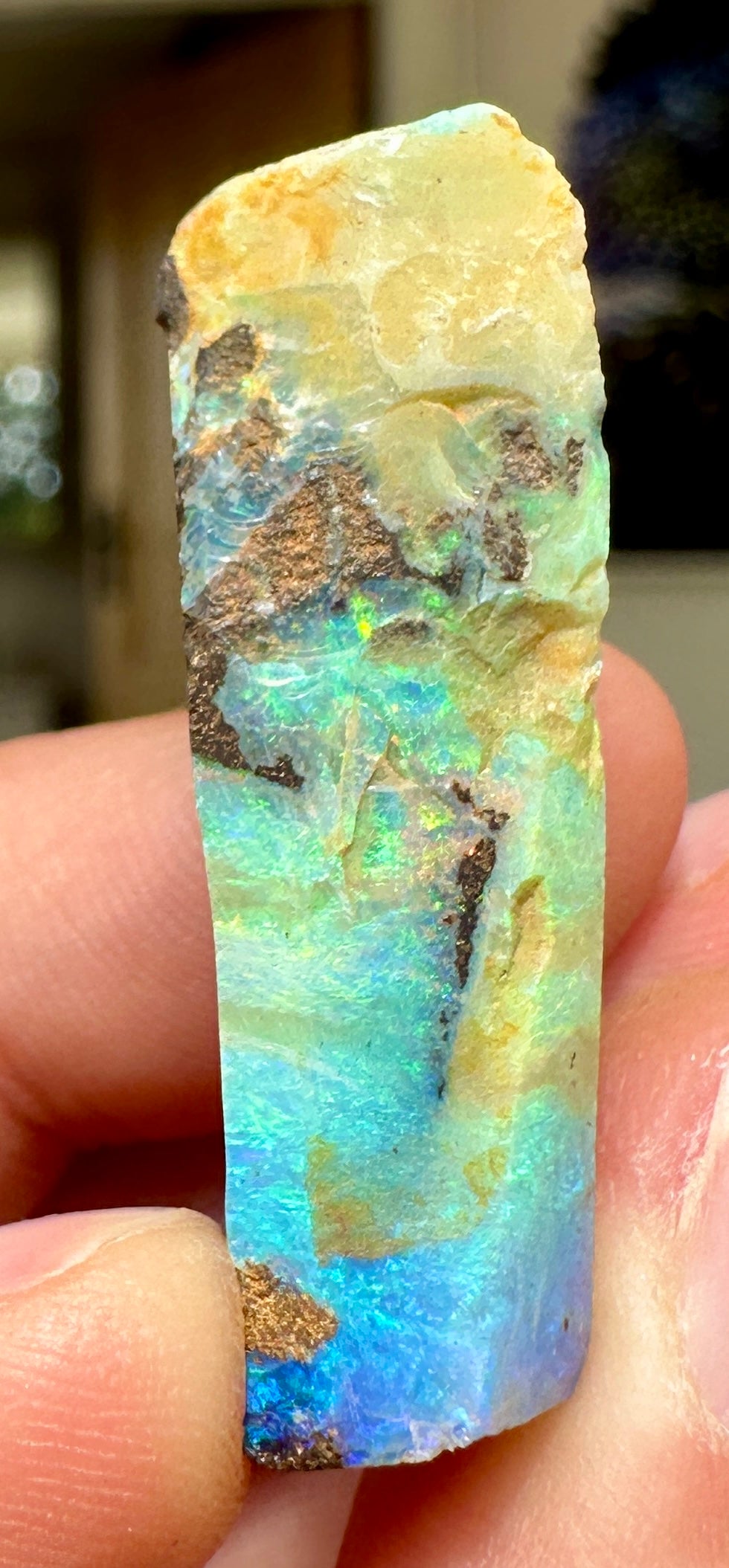 Australian Queensland Boulder opal rough large ring or pendant 33.385 cts