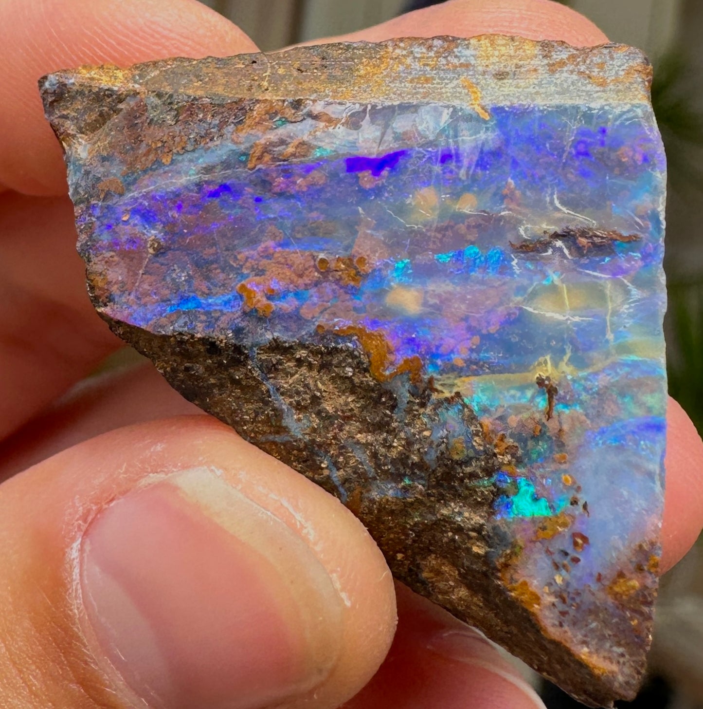 Australian Queensland Boulder opal rough large ring or pendant 71.30 cts