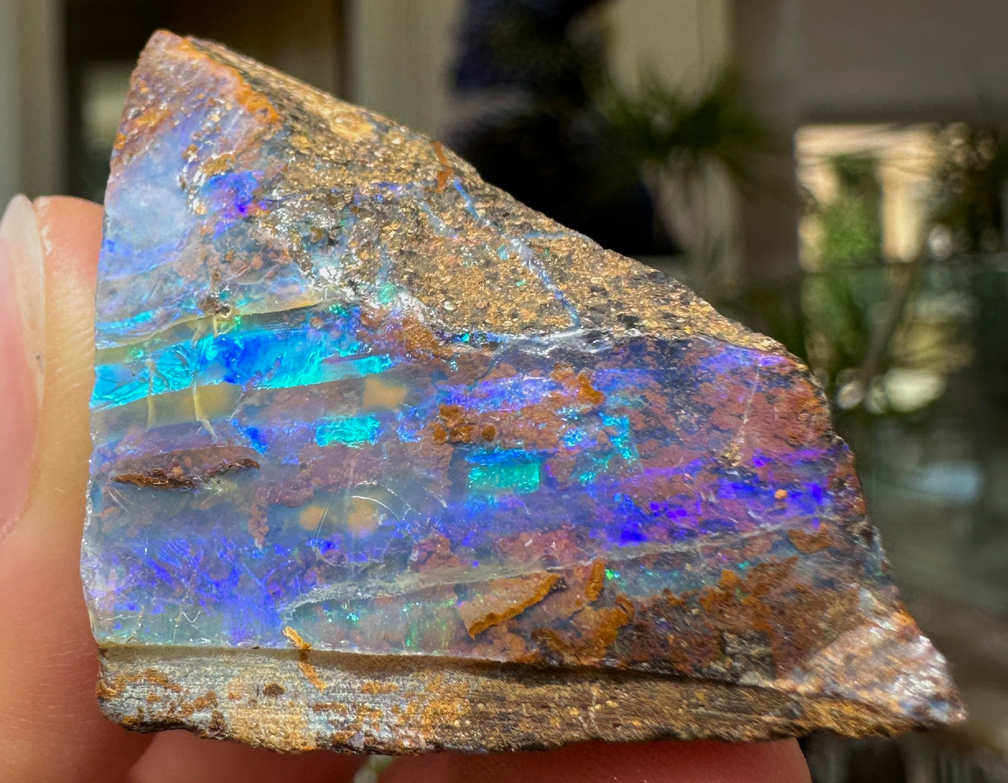 Australian Queensland Boulder opal rough large ring or pendant 71.30 cts