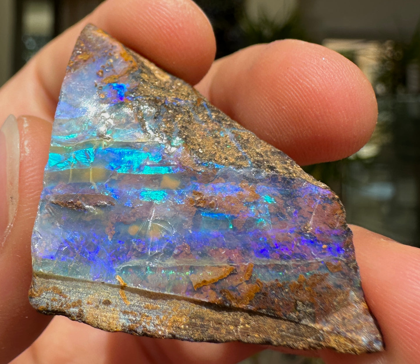 Australian Queensland Boulder opal rough large ring or pendant 71.30 cts