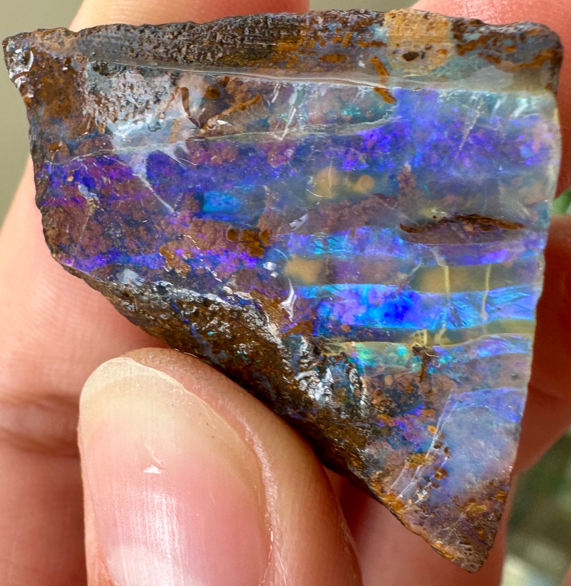 Australian Queensland Boulder opal rough large ring or pendant 71.30 cts