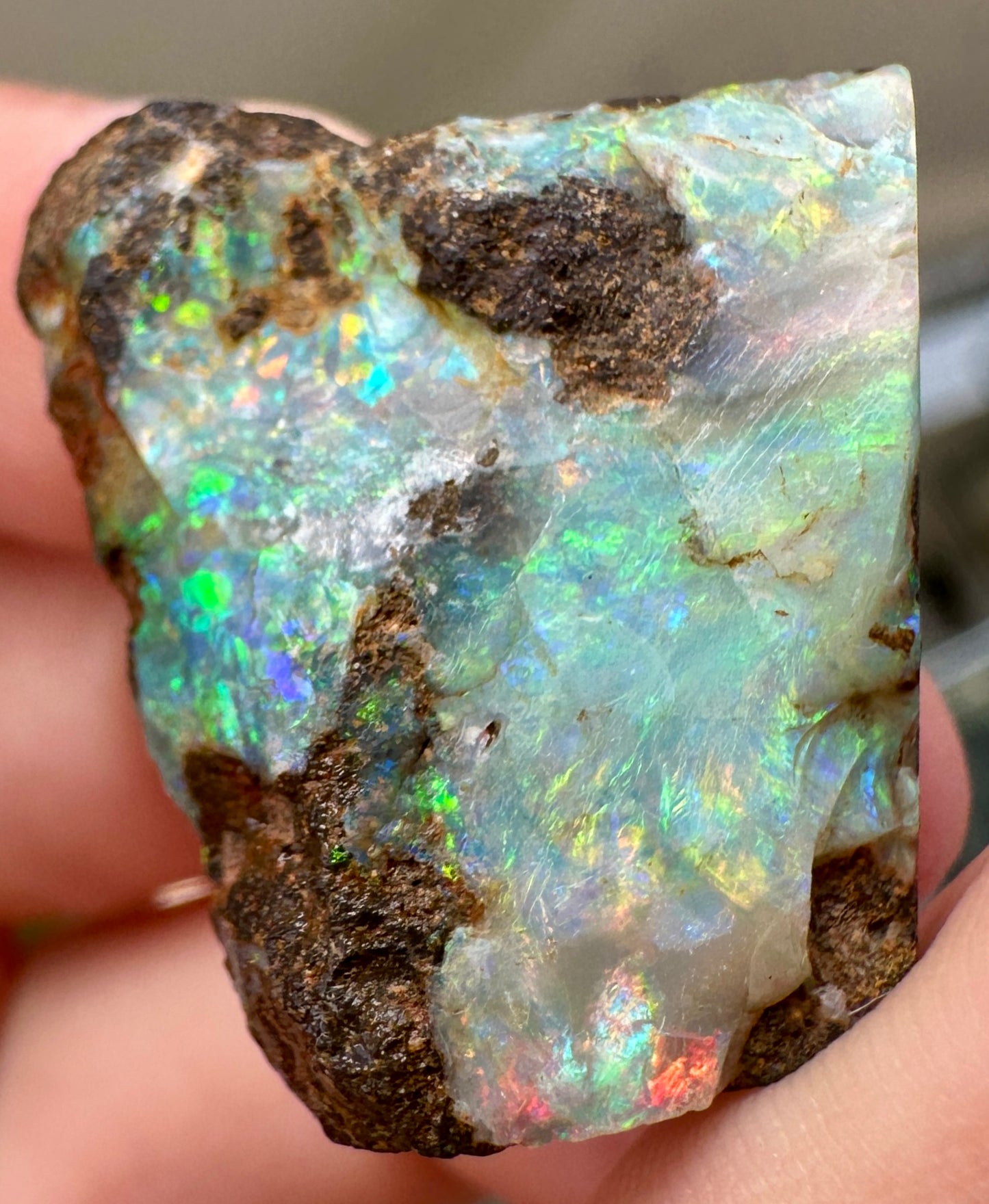 Australian Queensland Boulder opal rough large ring or pendant 41.375 cts