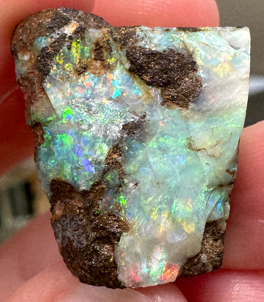 Australian Queensland Boulder opal rough large ring or pendant 41.375 cts