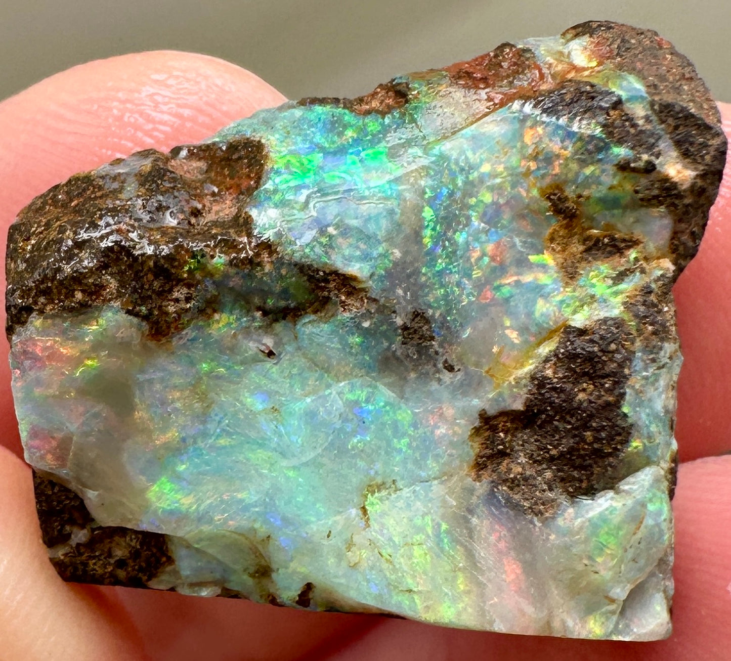 Australian Queensland Boulder opal rough large ring or pendant 41.375 cts