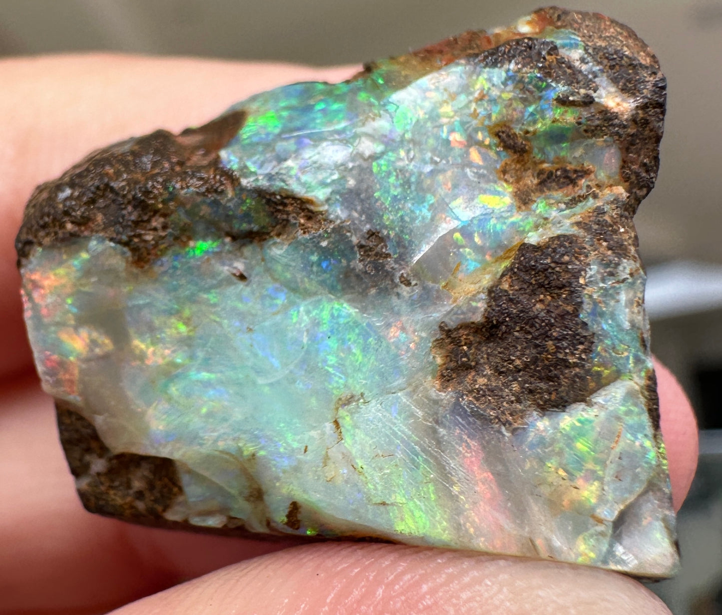 Australian Queensland Boulder opal rough large ring or pendant 41.375 cts