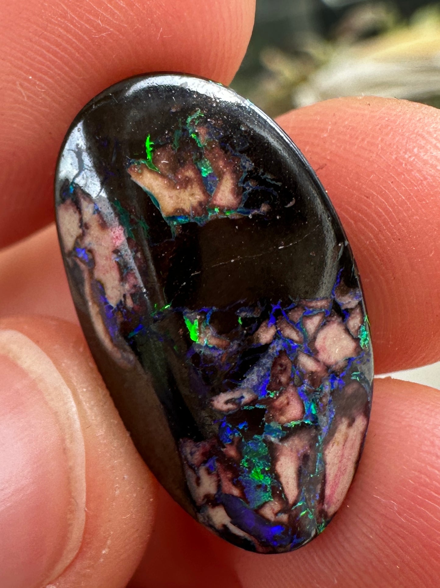 Opal Essence Queensland cut Boulder opal unset pendant or ring 13.1 cts