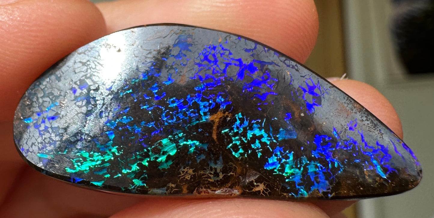 Opal Essence Queensland Boulder opal cut stone pendant or ring 21.35 cts