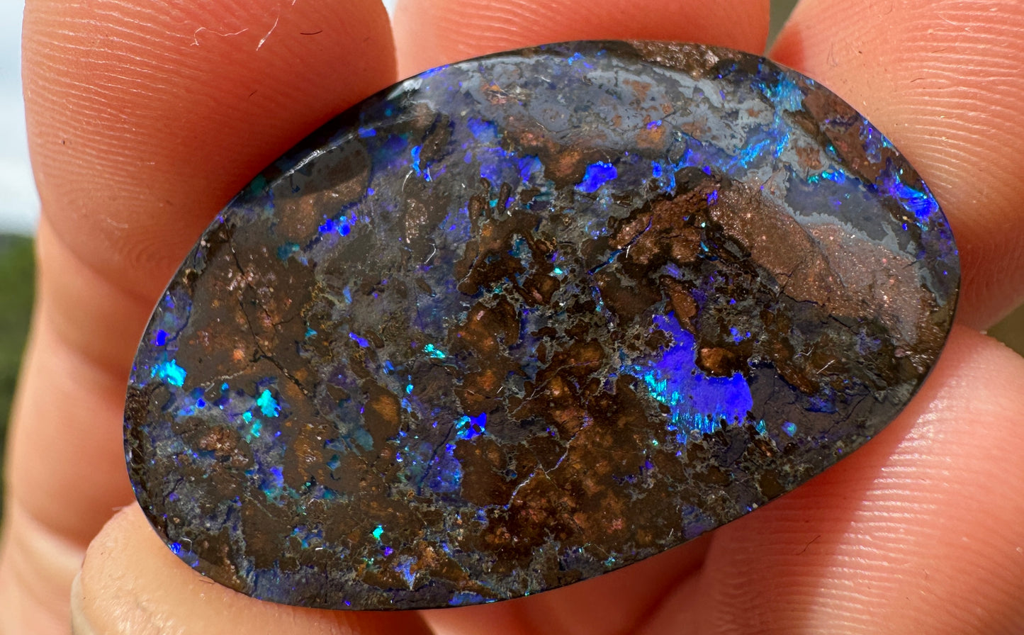 Opal Essence Queensland Boulder opal cut stone pendant or ring 22 cts