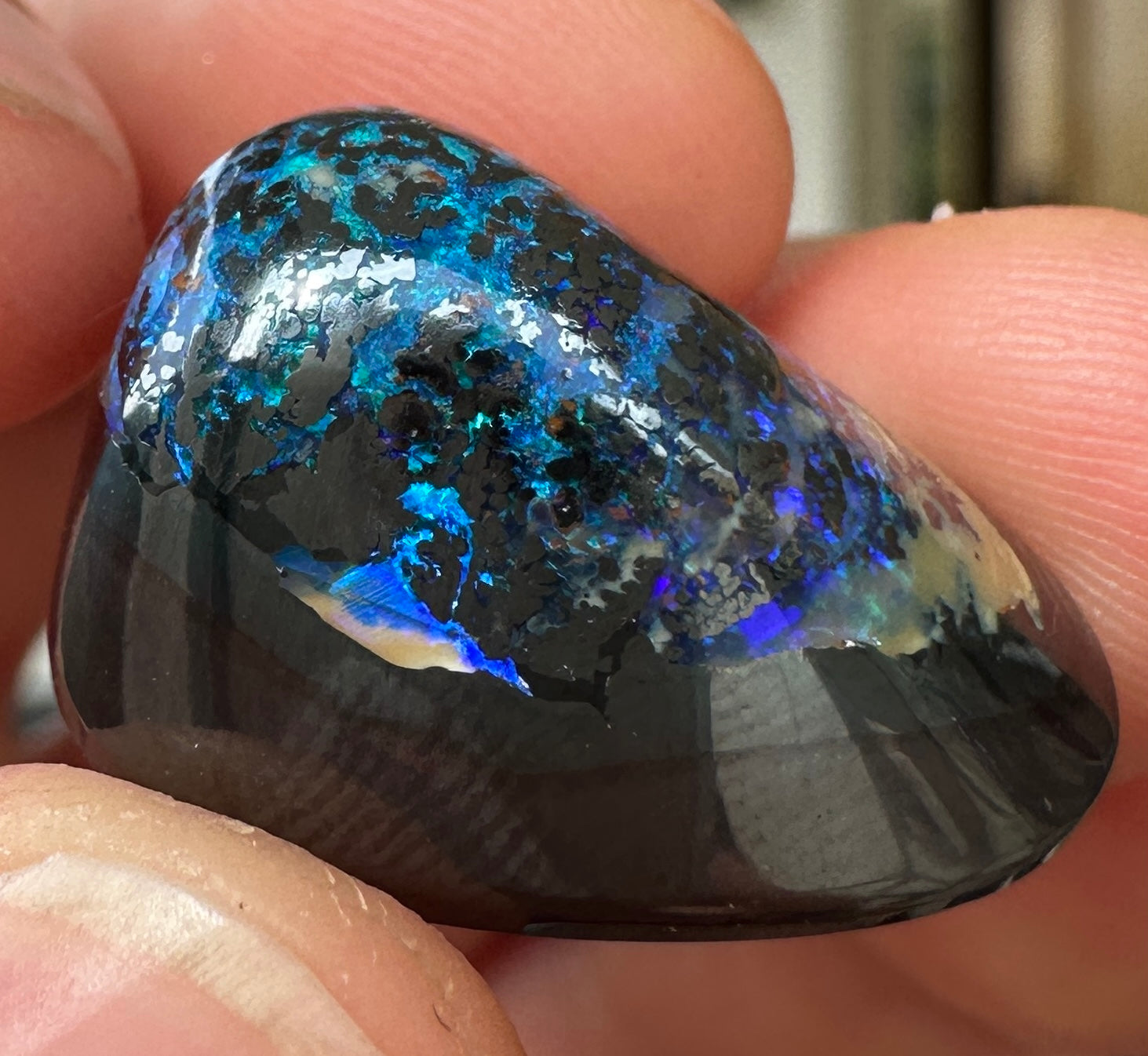 Opal Essence Queensland Boulder opal cut stone pendant or ring 25.8 cts
