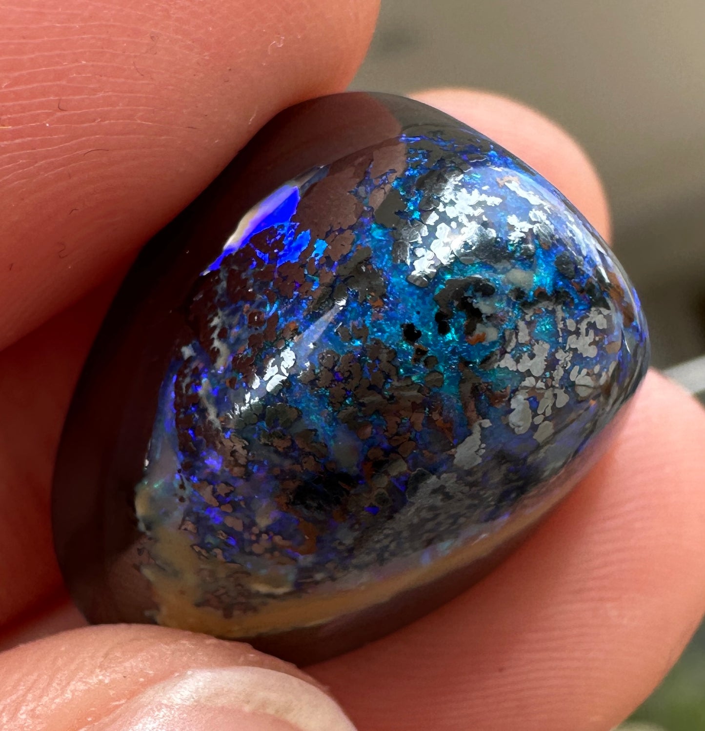 Opal Essence Queensland Boulder opal cut stone pendant or ring 25.8 cts