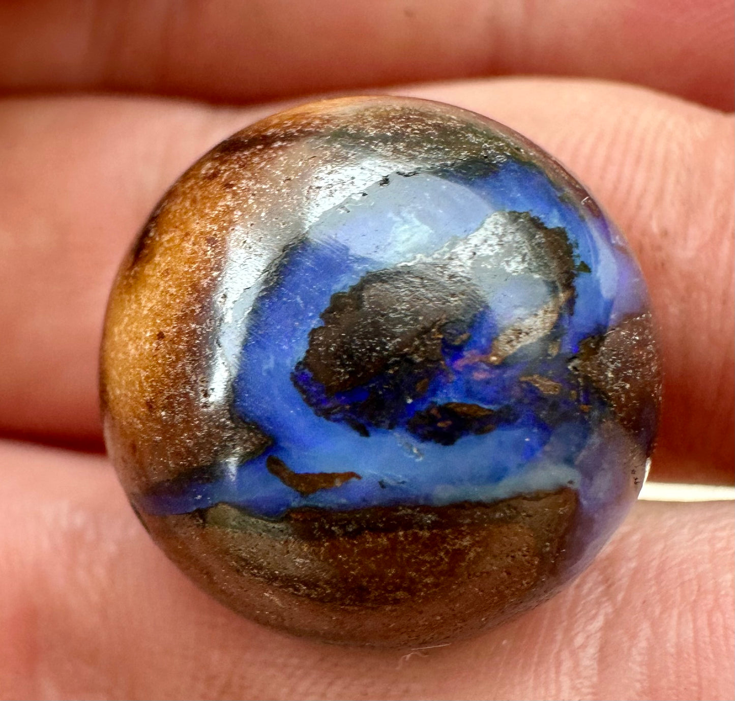 Opal Essence Queensland Boulder opal cut round 43 cts