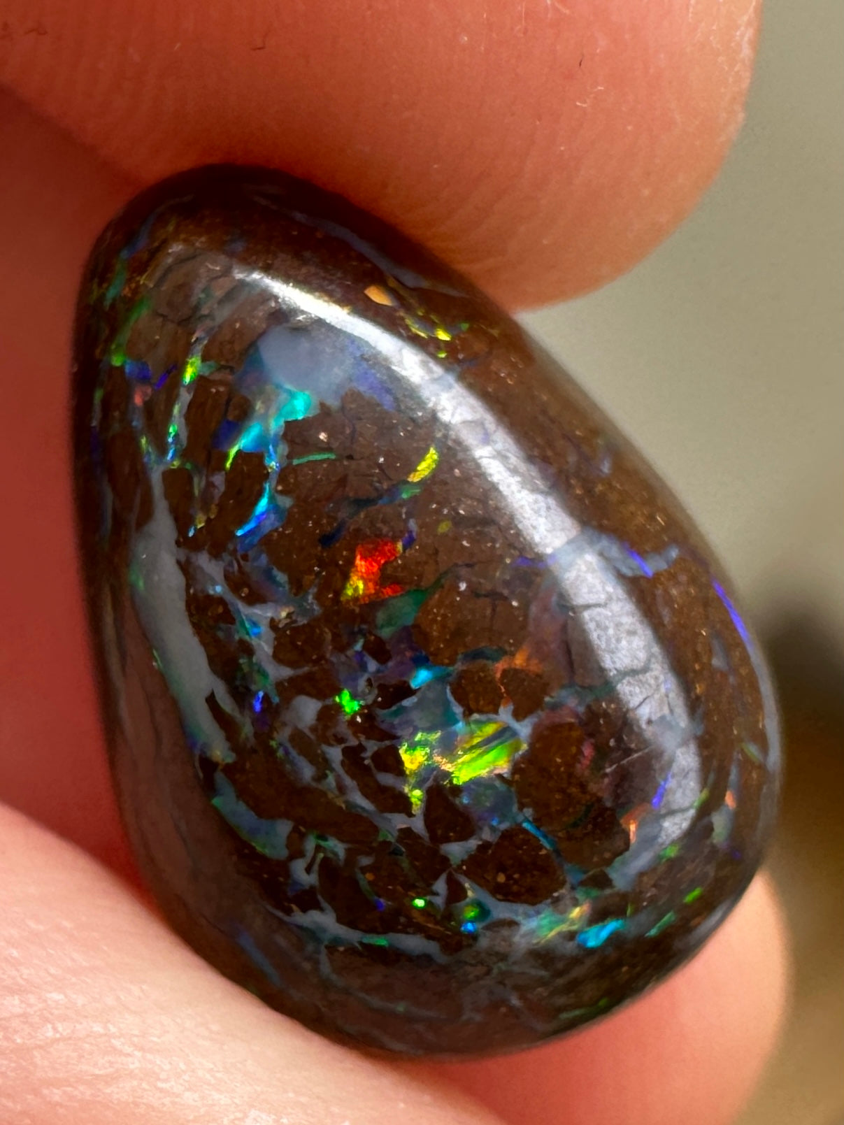 Opal Essence Queensland Boulder opal cut stone pendant or ring 5 cts