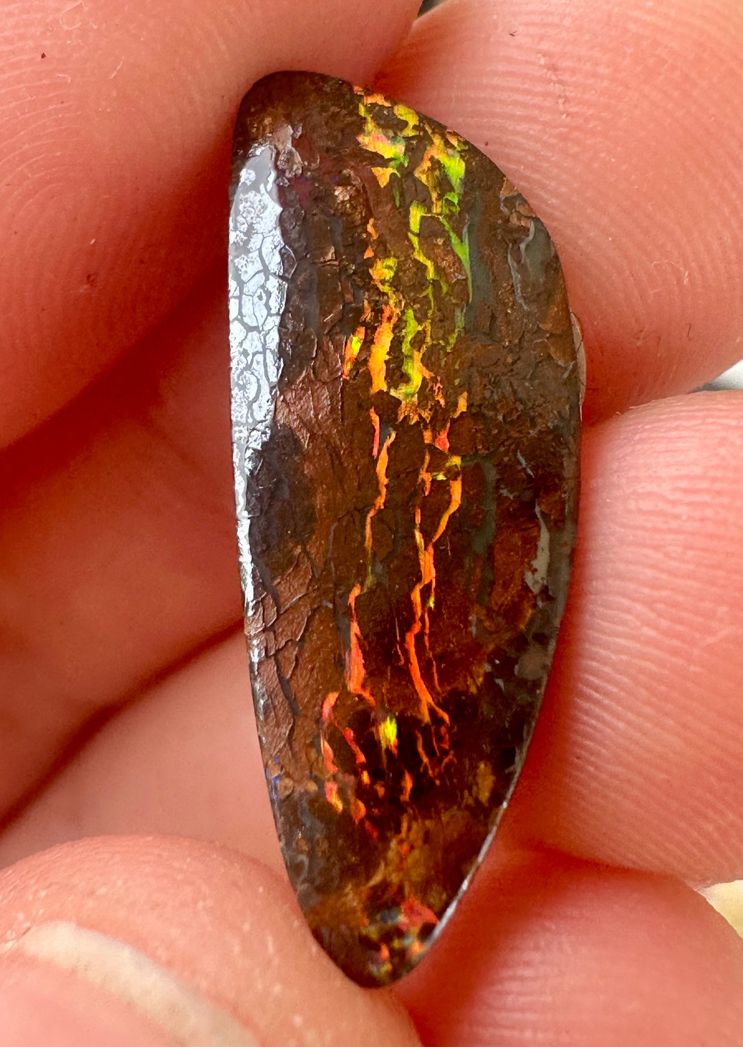 Australian Queensland Boulder Unset pendant or ring opal 5.5 ct